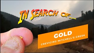 Crevicing for gold at Mitchell's Creek, NSW