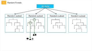 Random Forests - SDM Algorithm