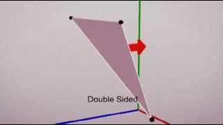 The Polygon