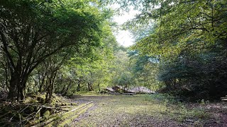 林道水の木線ハイキング、水ノ木(みずのき)地区探索　山北町世附(よづく)