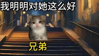 当兄弟失恋的时候我跟在他身后唱歌 猫meme 猫meme故事 猫meme小剧场 猫meme日常