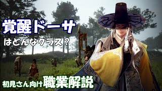 【黒い砂漠】覚醒ドーサ -PvE解説- in 星の墓場/紅林砦【職業解説】