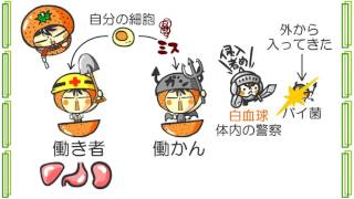 生物２章４話「ＤＮＡのオマケ」ｂｙWEB玉塾