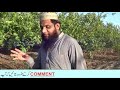 zeera aur ilaichi ky qehwa ke faiyde benefits of cumin and cardamom qahwa by hakeem sajid 2020