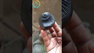 Shaligram -sri vishnu shaligram shila 💐💐 #shorts #short #shortsfeed