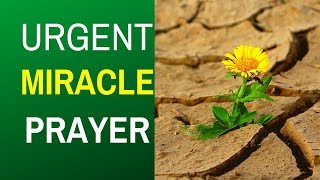 Listen To This Powerful Prayer To Receive A Miracle  ( IT'S TIME FOR YOUR MIRACLE )