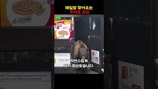 매일밤 찾아오는 무서운 손님