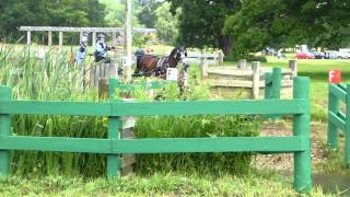 15 Sue Mayes GBR), Pony Tandem, Sandringham Horse Driving Trials 2013, Marathon O1