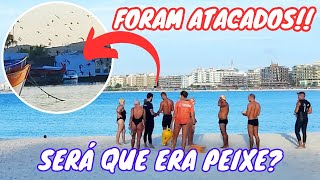 ♥️💙 CABO FRIO OLHA ISSO SERÁ QUE ERA  QUE TIPO DE PEIXE? 🏖️ PRAIA DO FORTE HOJE 03/02/25 🇧🇷