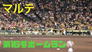 7/9【マルテ】第16号ホームラン⚾️〜ラパンパラ🙌🙌