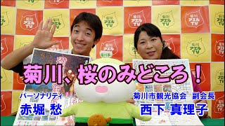 菊川アエルTV　菊川、桜のみどころ！　ゲスト： 菊川市観光協会 副会長 西下真理子 ／ パーソナリティ：赤堀愁