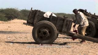 Rural life in Rann of Kutch, Gujarat