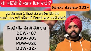 Wheat Review 2024 ਅਗਲੇ ਸਾਲ ਲਈ ਪਹਿਲਾਂ ਤੋਂ ਤਿਆਰੀ ਕਰਨ ਵਾਲੀ ਵੀਡੀਓ #farmer #wheat2024 #wheat