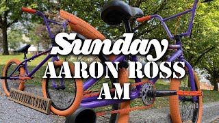 CUSTOM SUNDAY AARON ROSS AM GRAPE SODA BMX W/ PURPLE \u0026 ORANGE PARTS