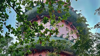 Dragon Temple - Wat Samphran Experience | Nakhon Pathom - Thailand