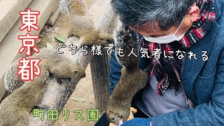 東京都　どちら様でも人気者になれる 　町田リス園