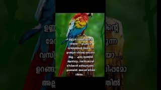 ആയിരം പുസ്തകങ്ങളിൽ നിന്നും പാഠങ്ങൾ പഠിച്ചാലും സ്വന്തം അനുഭവങ്ങ ളിൽ നിന്നുംപഠിച്ചതു പോലെ ആവുലാ