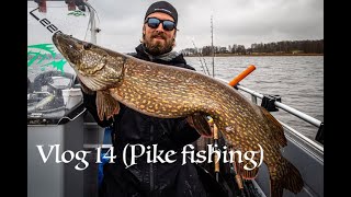 Vlog 14 (Big Pike)