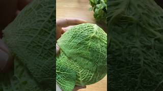 How To Cut Cabbage For Curry #shorts #ytshorts #cabbage