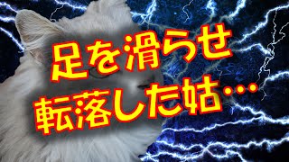 【修羅場 閲覧注意】妊娠中の私を階段から落とそうとするトメの足が空振りし転落。そして…