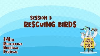 Rescuing Birds | 14th Philippine Bird-tual Festival: \