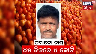 ୪୫ ଦିନରେ ଲାଭ ହେଲା ୪ କୋଟି,  ଟମାଟୋ କଲା କୋଟିପତି | Tomato Farming | Breaking News  | Odia News