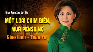 Một Loài Chim Biển, Mùa Pense Nở | GIAO LINH - Nhạc Xưa Vô Cùng Quý Giá