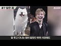 강다니엘ㅣ당신이 몰랐던 8가지 놀라운 사실ㅣtmiㅣmbtiㅣsub