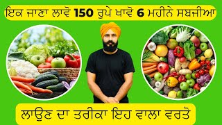 150ਰੁਏ💶 ਵਿੱਚ ਬੰਦਾ👳‍♂️6 ਮਹੀਨੇ ਖਾ ਸਕਦਾ ਸਬਜ਼ੀਆਂ 🥦ਬੱਸ ਤਰੀਕਾ ਇਹ ਹੋਣਾ ਚਾਹੀਦਾ gardentips#vegetables