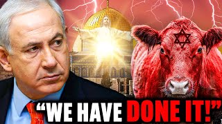 Benjamin Netanyahu: "We Just Started The Sacrifice Ritual Of The Red Heifer"