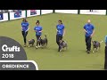 Obreedience - The Blue Heelers | Crufts 2018