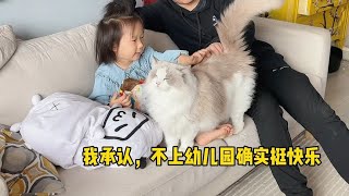 小铲屎官就是不上幼儿园，非要在家养猫