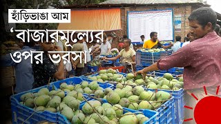 বাজারে এসেছে হাঁড়িভাঙা, তবে ফলন কম | Haribhanga | Rangpur