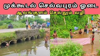 முக்கூடல் செல்வபுரம் ஒடை ஆலங்குளம் செல்லும் வழியில் / Mukkudal