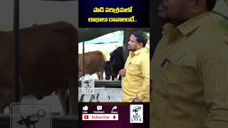 పాడి పరిశ్రమలో లాభాలు రావాలంటే | MILK FARMING BUSINESS TELUGU | Dairy Farming Benefits || @KEYLIFE1