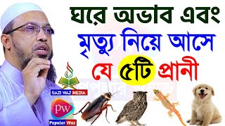 ঘরে অভাব এবং মৃত্যু নিয়ে আসে যে ৫টি প্রানী। জেনে নিন। আহমাদুল্লাহ।15 Jan 202508:40