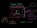 septic shock pathophysiology and symptoms nclex rn khan academy