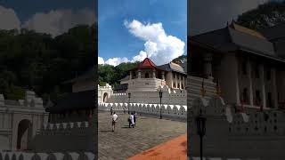 අති උතුම් දළදා මාලිගාව  🙏😍 kandy srilanka #srilanka #subscribe #shotrs #travelvlog