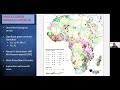 Exploring Chinese Investment in Africa’s Critical Minerals Sector