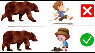 Top 12 Ways to Survive Animal Attacks