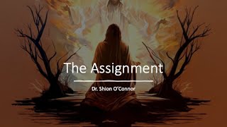 THE ASSIGNMENT- Dr Shion O'Connor