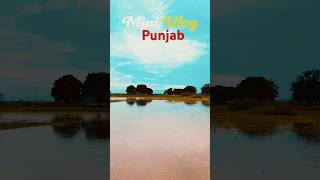 Punjab Narowal Shakargarh 🕊️🥀🌾