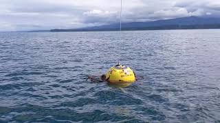 Wave buoy inspection and declutter.