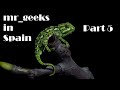 Herping Chameleons in Spain! (mr geeks in Spain part 5)