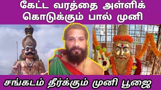 வேண்டியது நடக்க பால் முனீஸ்வரர் வழிபாடு | கஷ்டங்களை தீர்க்கும் பால் முனி பூஜை | pal muni poojai