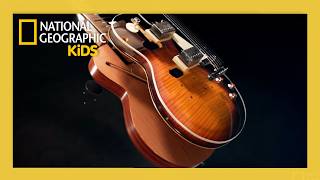 Learn How Electric Guitars Are Made! 🎸😎 | Made in a Day Full Episode | @natgeokids