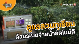 ดูแลสวนทุเรียนด้วยระบบจ่ายน้ำอัตโนมัติ | อาชีพทั่วไทย