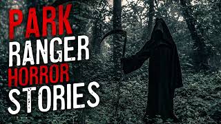 13 Scary Park Ranger Horror Stories