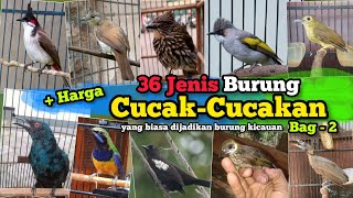 Jenis Burung Cucak bagian-2 ‼️36 Jenis burung disertai harga bahannya