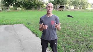 Can you learn  Bagua online